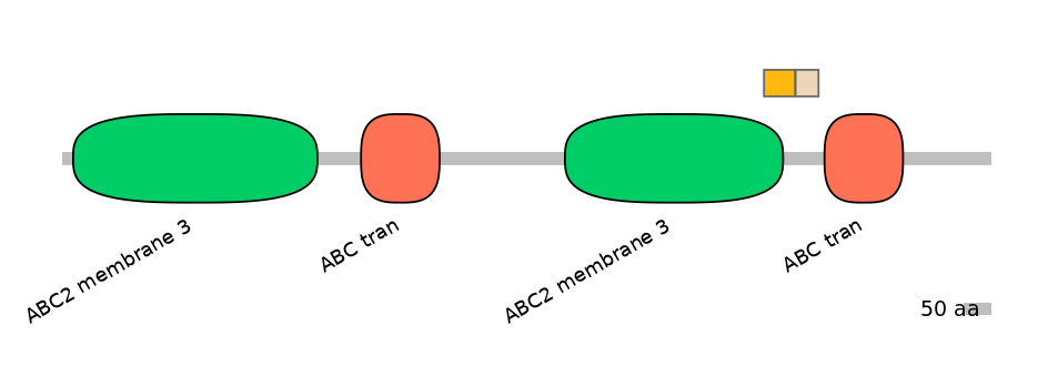 MmuINT1003481-EXC