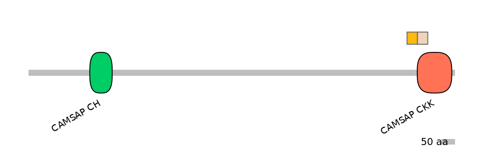 MmuINT1006007-EXC