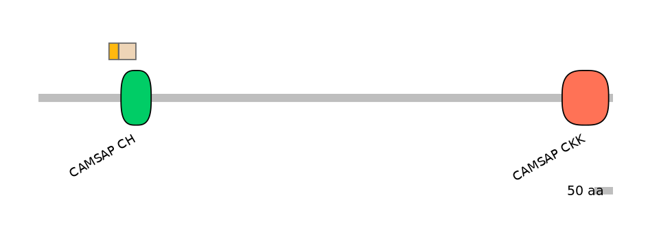 MmuINT1006010-EXC
