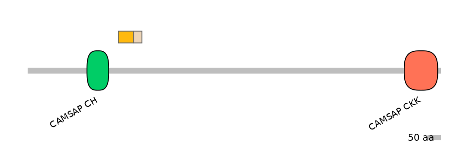 MmuINT1006011-EXC
