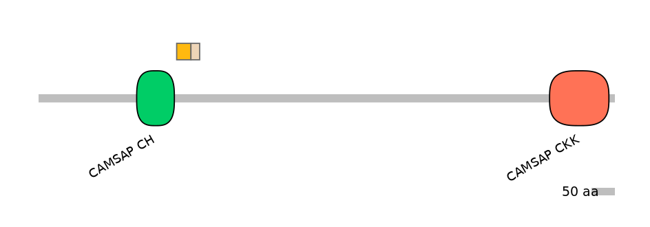 MmuINT1006014-EXC