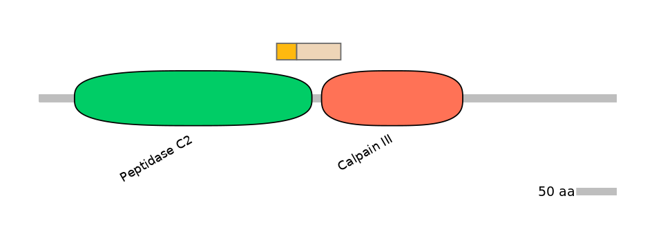 MmuINT1006032-EXC