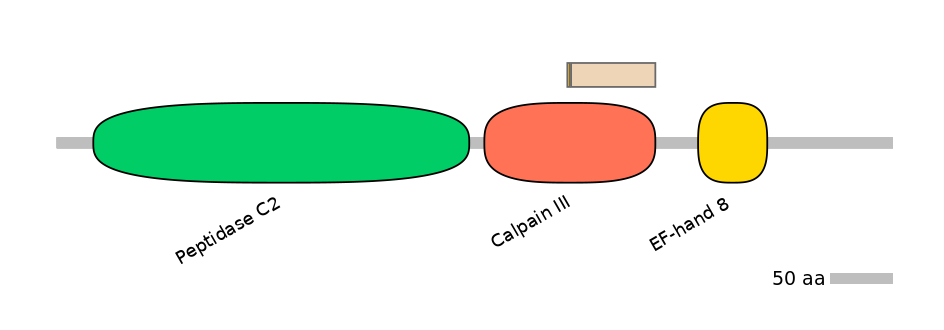 MmuINT1006034-EXC