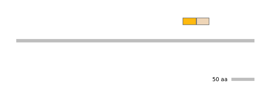 MmuINT1008336-EXC