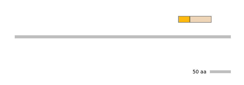 MmuINT1008337-EXC