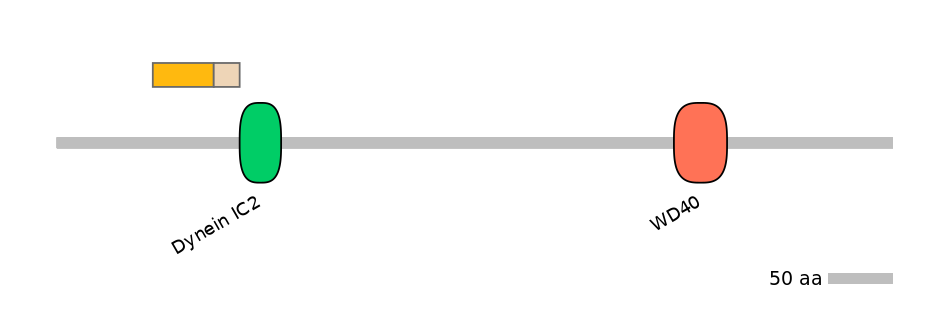 MmuINT1009181-EXC