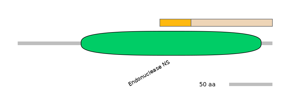 MmuINT1009580-EXC