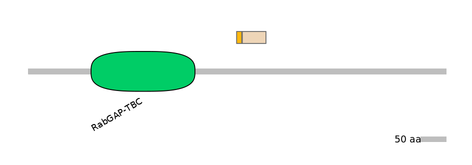 MmuINT1009813-EXC