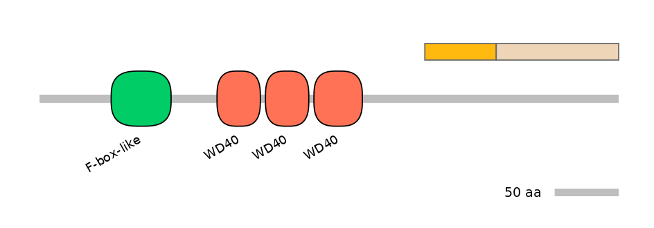 MmuINT1010198-EXC