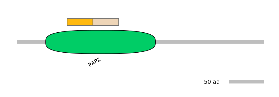 MmuINT1010637-EXC