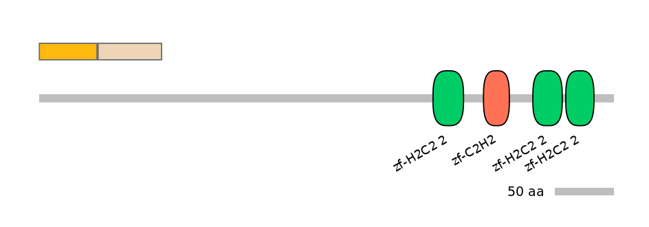 MmuINT1010790-EXC