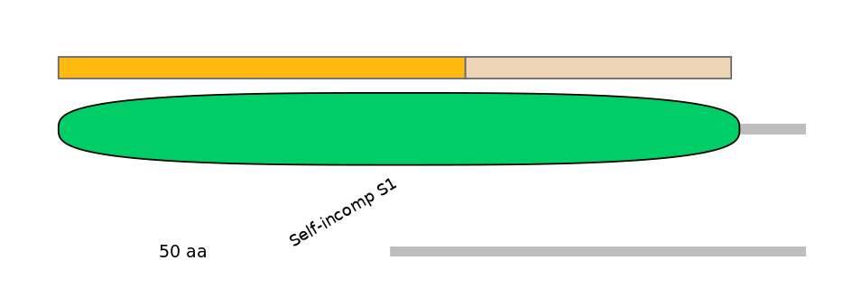 MmuINT1013373-EXC