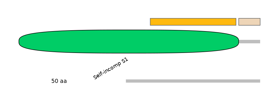 MmuINT1013374-EXC