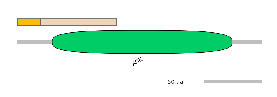 MmuINT1014655-EXC