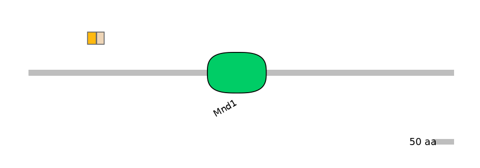 MmuINT1019933-EXC