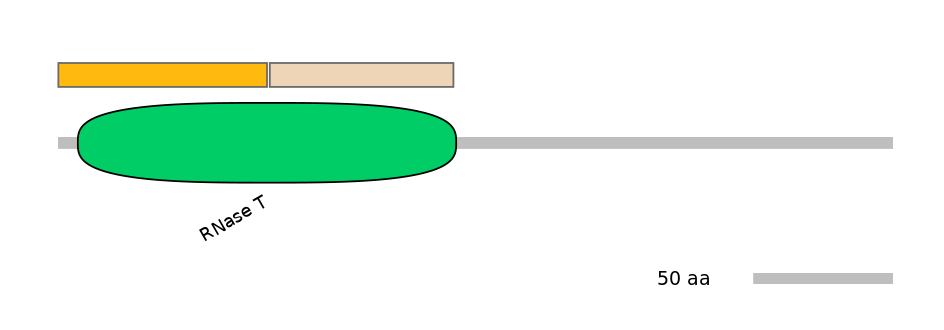 MmuINT1021421-EXC