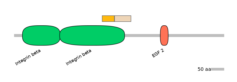 MmuINT1021449-EXC