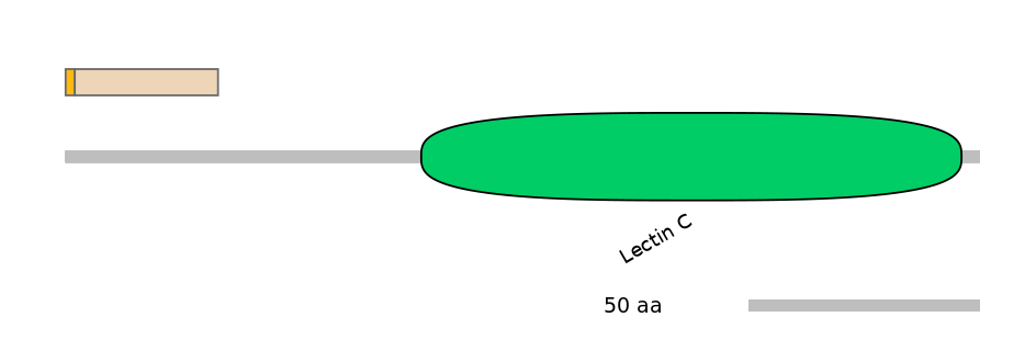 MmuINT1021837-EXC