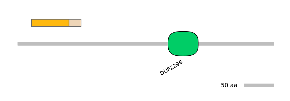 MmuINT1022316-EXC