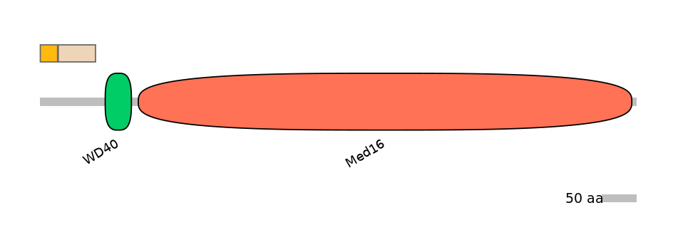 MmuINT1022941-EXC