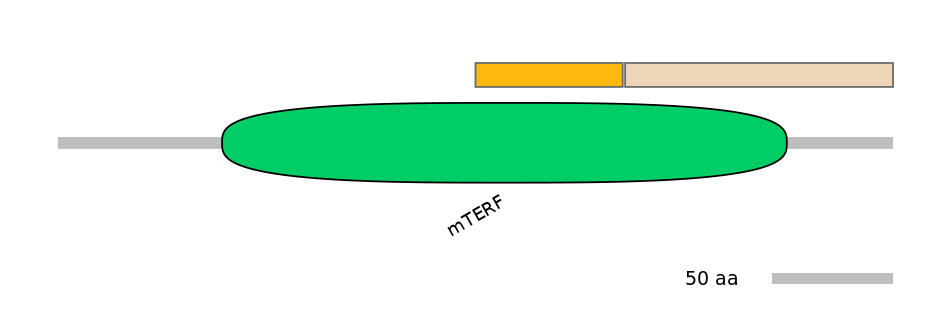 MmuINT1023523-EXC