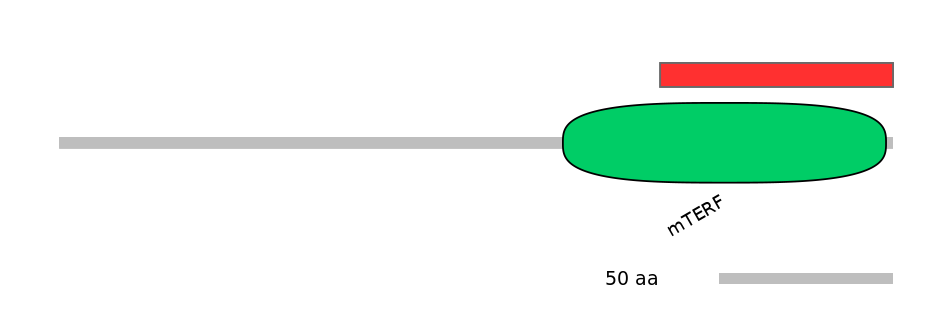 MmuINT1023523-INC