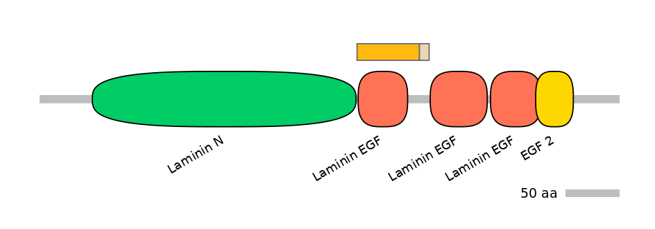 MmuINT1024614-EXC