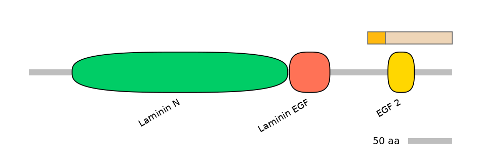 MmuINT1024615-EXC