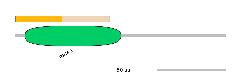 MmuINT1029637-EXC