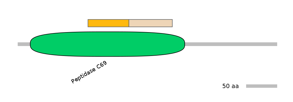 MmuINT1030787-EXC