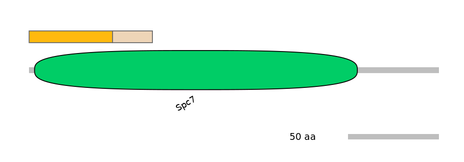 MmuINT1031998-EXC