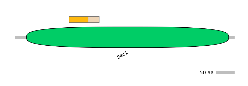 MmuINT1032401-EXC