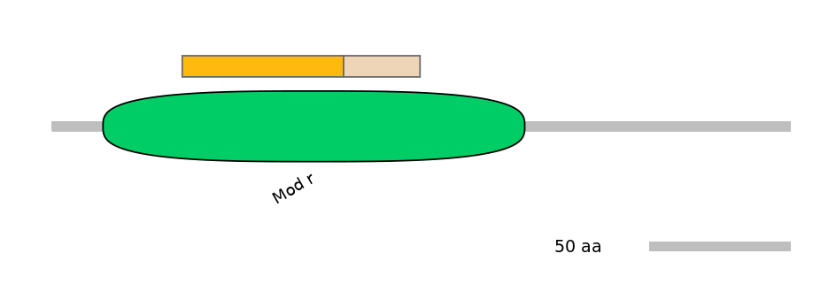 MmuINT1034951-EXC