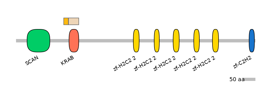 MmuINT1035605-EXC