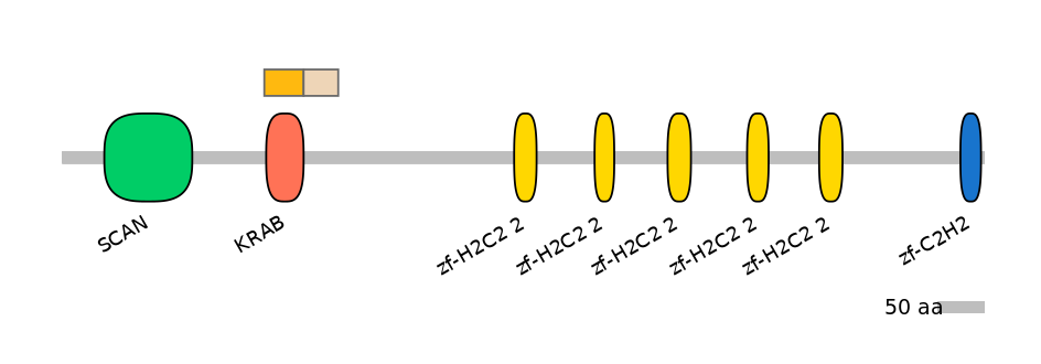 MmuINT1035606-EXC