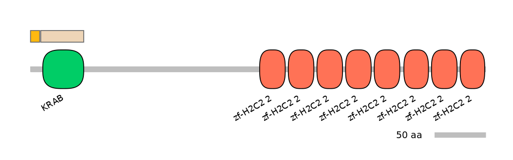 MmuINT1035813-EXC
