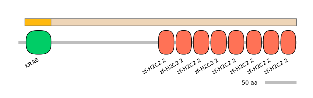 MmuINT1035814-EXC
