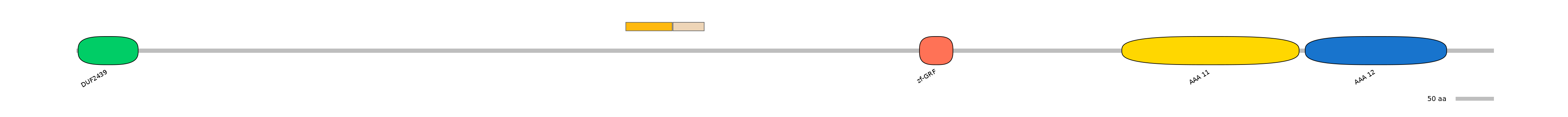 MmuINT1035832-EXC