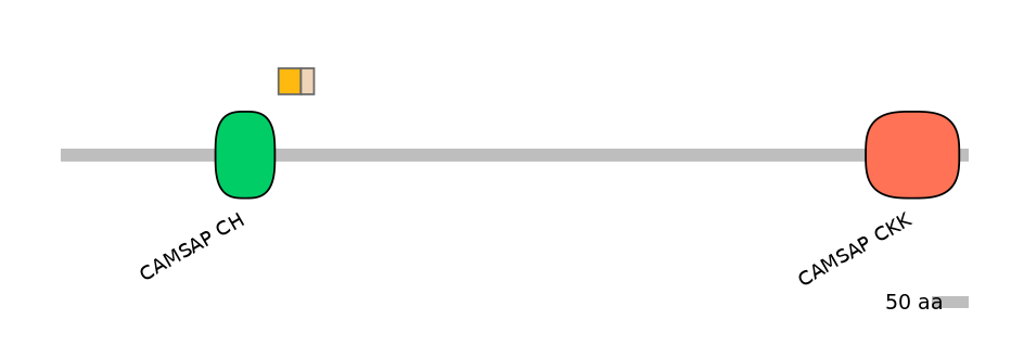 MmuALTA0000288-2_2-EXC