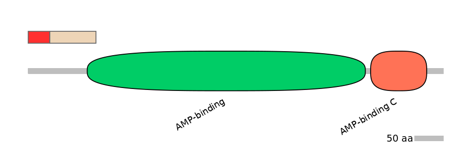 MmuALTA0001063-4_4-INC