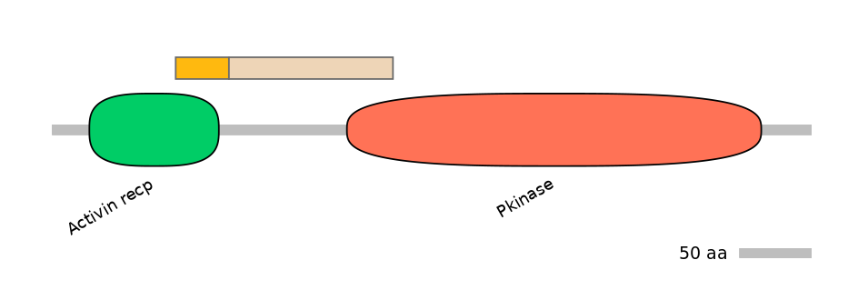 MmuALTA0001111-2_2-EXC