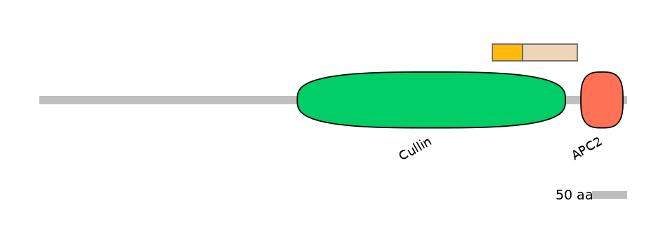 MmuALTA0001550-3_3-EXC