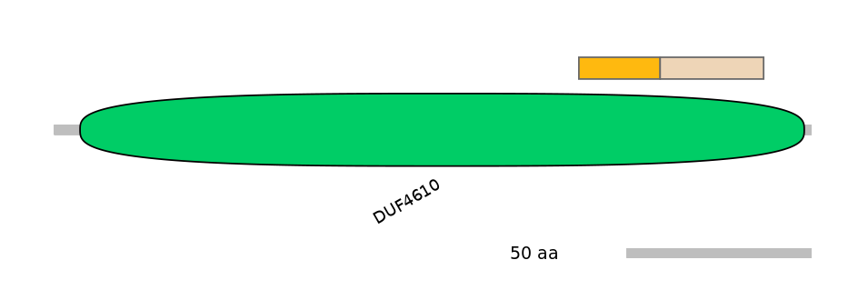 MmuALTA0002556-1_2-INC