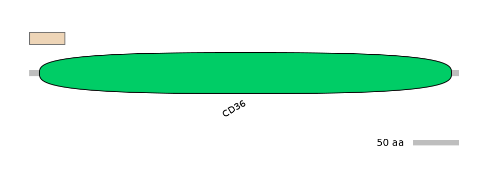 MmuALTA0003603-1_2-EXC