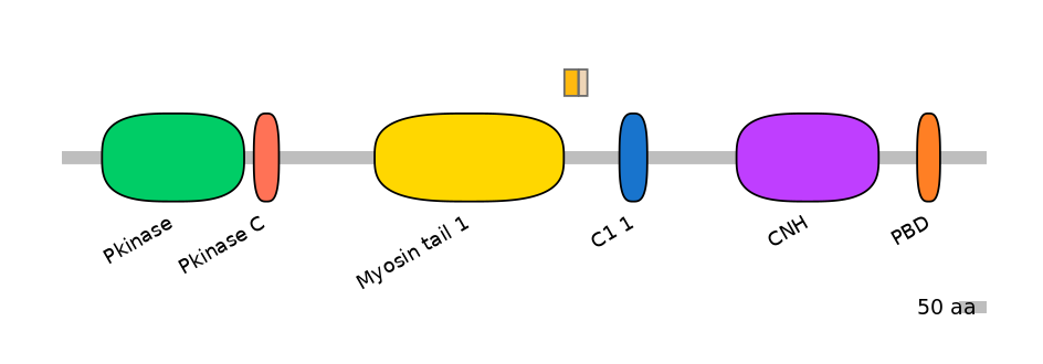 MmuALTA0003674-2_2-EXC