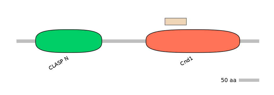 MmuALTA0004189-2_2-EXC