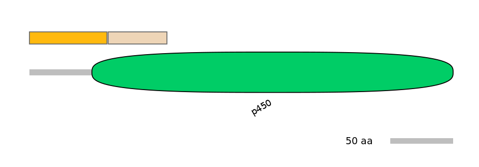 MmuALTA0004955-2_2-EXC