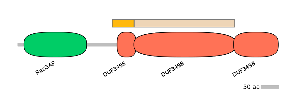 MmuALTA0005055-2_2-EXC
