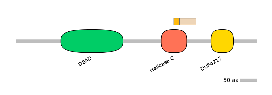 MmuALTA0005231-1_4-EXC