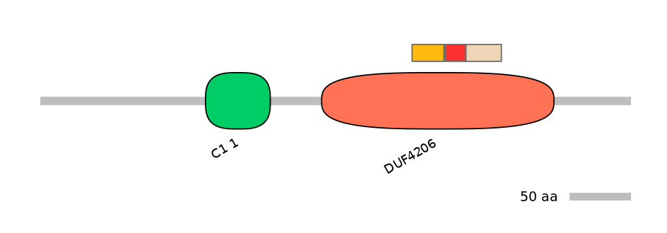 MmuALTA0005312-2_2-INC